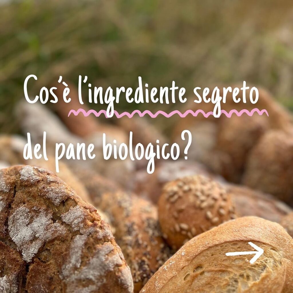 Quale pane scegliere?  Questa decisione si prende sulla base del gusto e della  ...